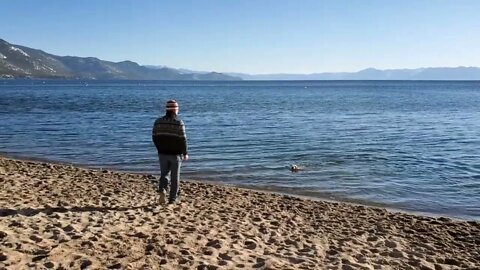 Ares Jack Russell winter swims non-stop