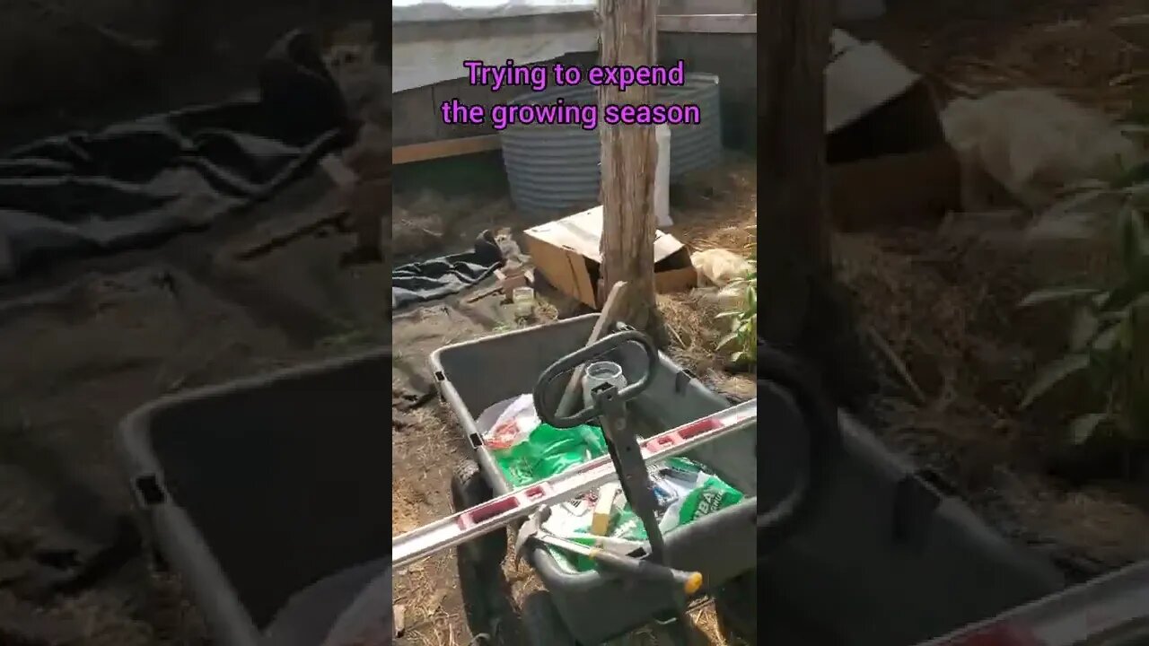 Had to replace the plastic after a bad storm and rebuilding some of it