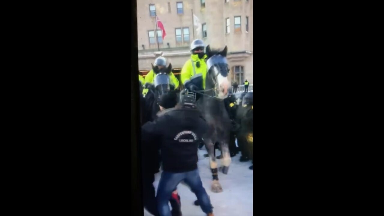 Freedom Convoy Police horses used to strap left on peaceful protesters Ottawa ON Canada