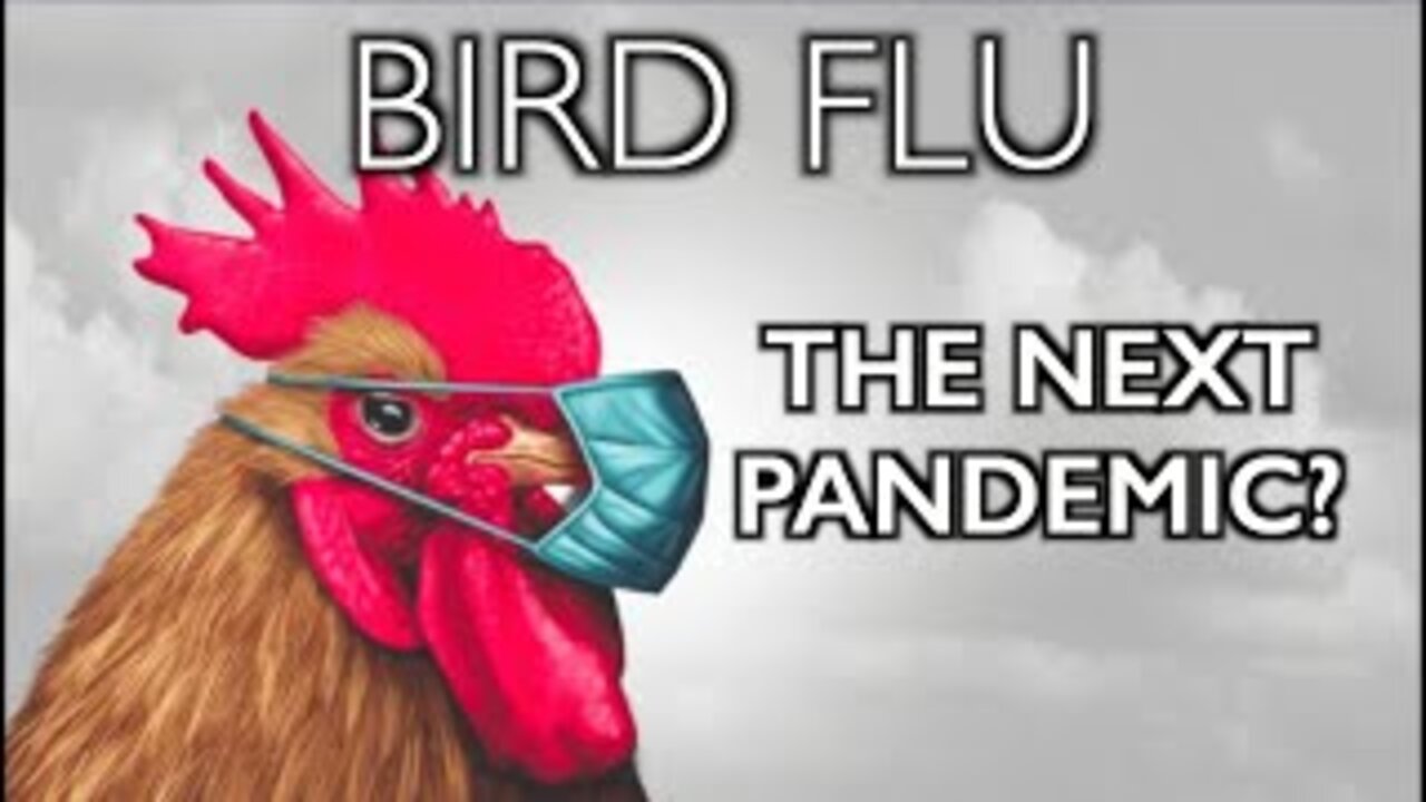 🐦 Is the Bird Flu Going To Be the Next SCAMdemic?