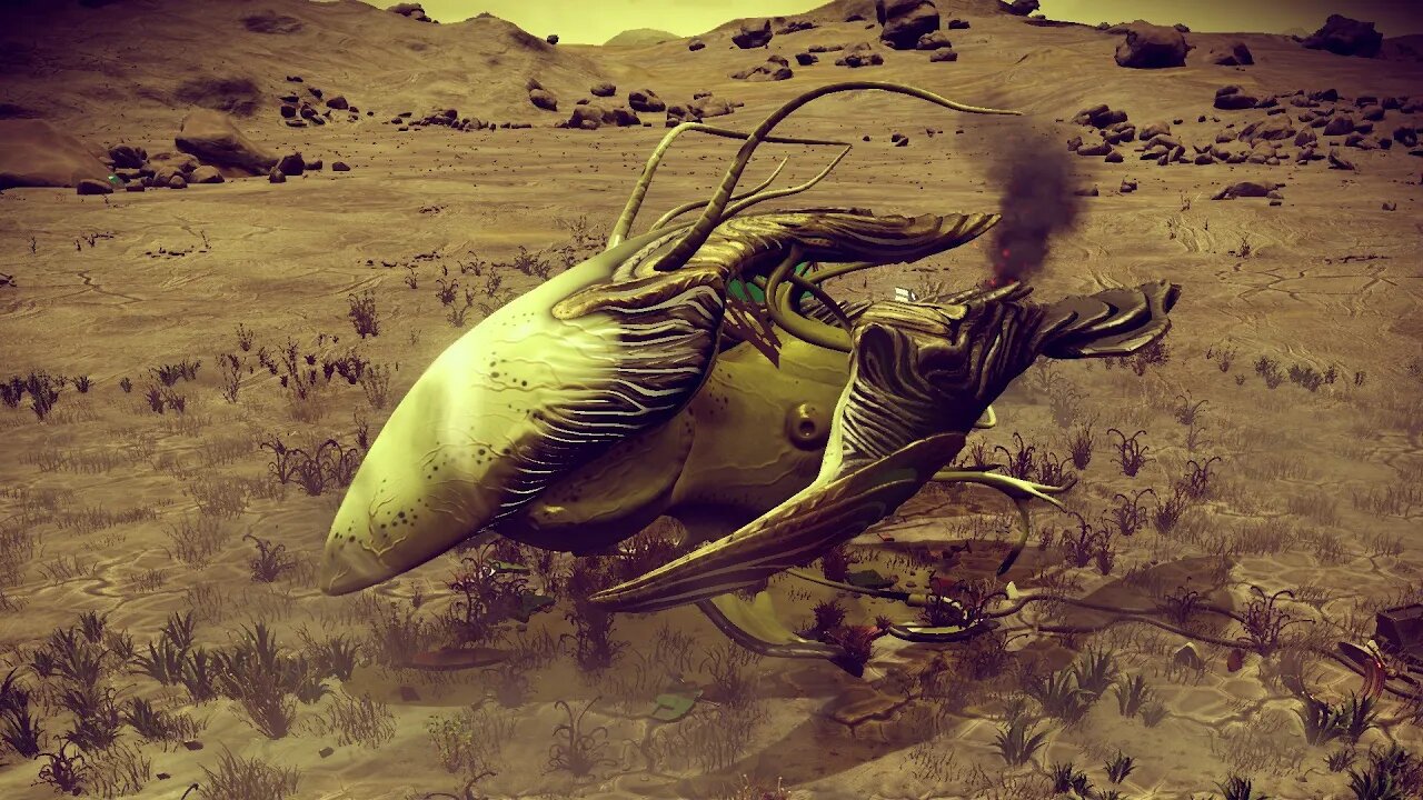 No Man's Sky - The Final Oduiutskyv - Living Ship Location