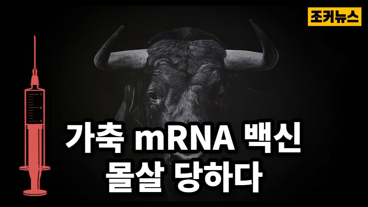 그리고 mRNA로 오염된 고기가 몰려온다 Livestock mRNA vaccine risks