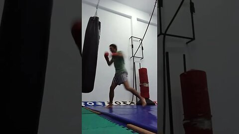 Punch Bag (59)
