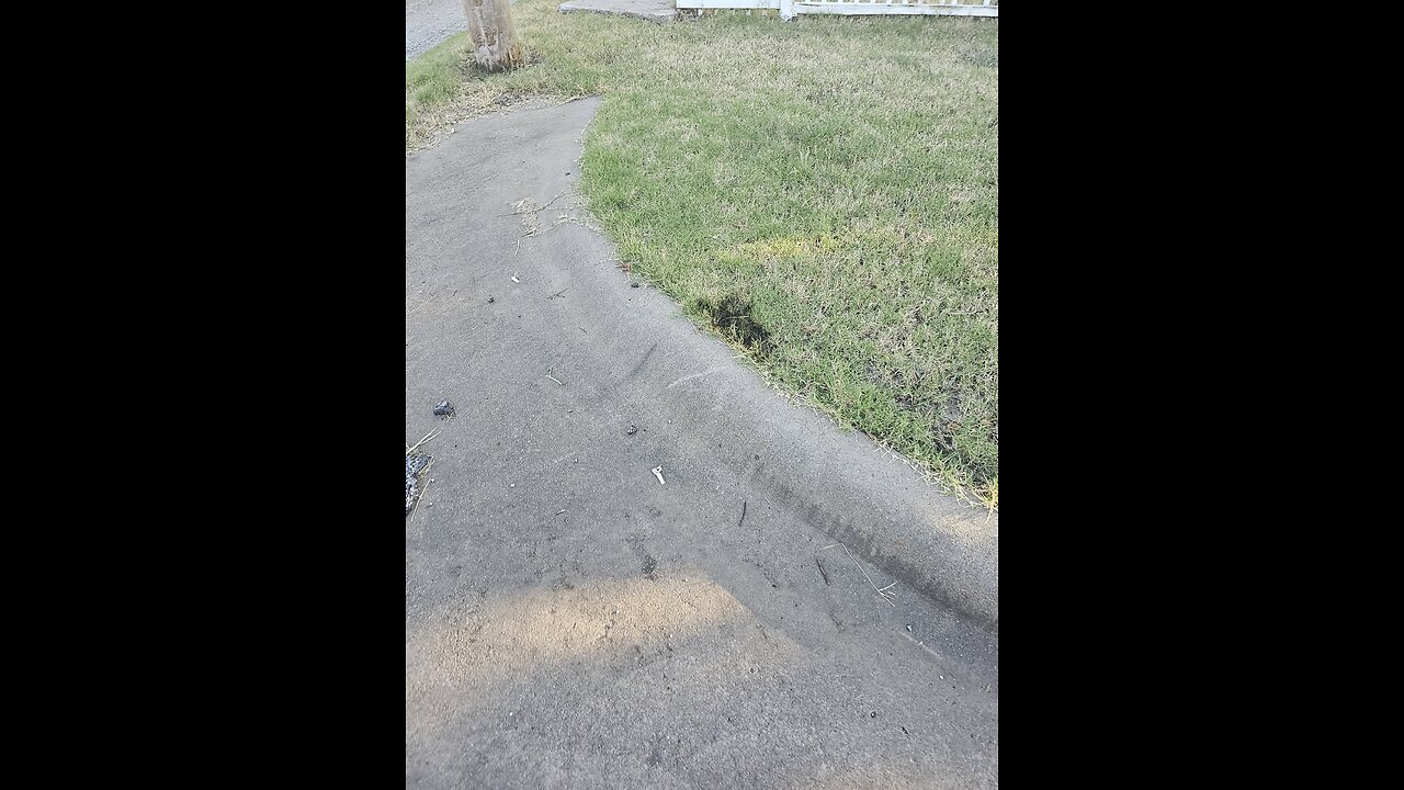 Spontaneously Combusted Grass