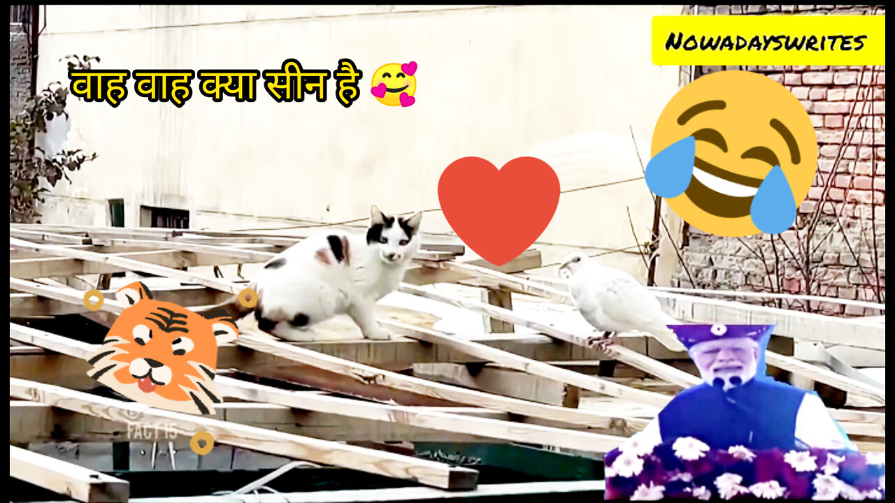 🤣😜 Funny Animal 🤣😂 videos 2022