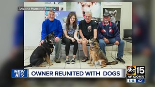 Valley service member reunited with dogs