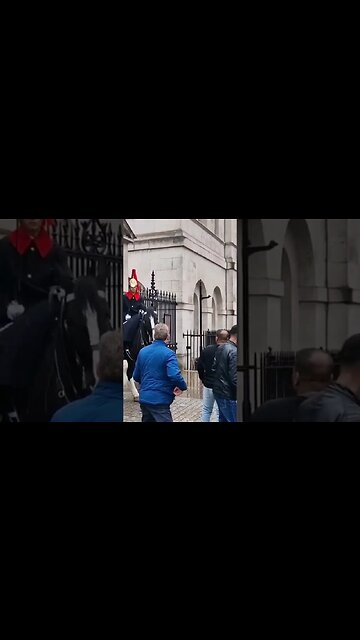 Yank the reins away make way way#horseguardsparade