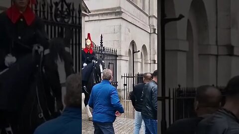 Yank the reins away make way way#horseguardsparade