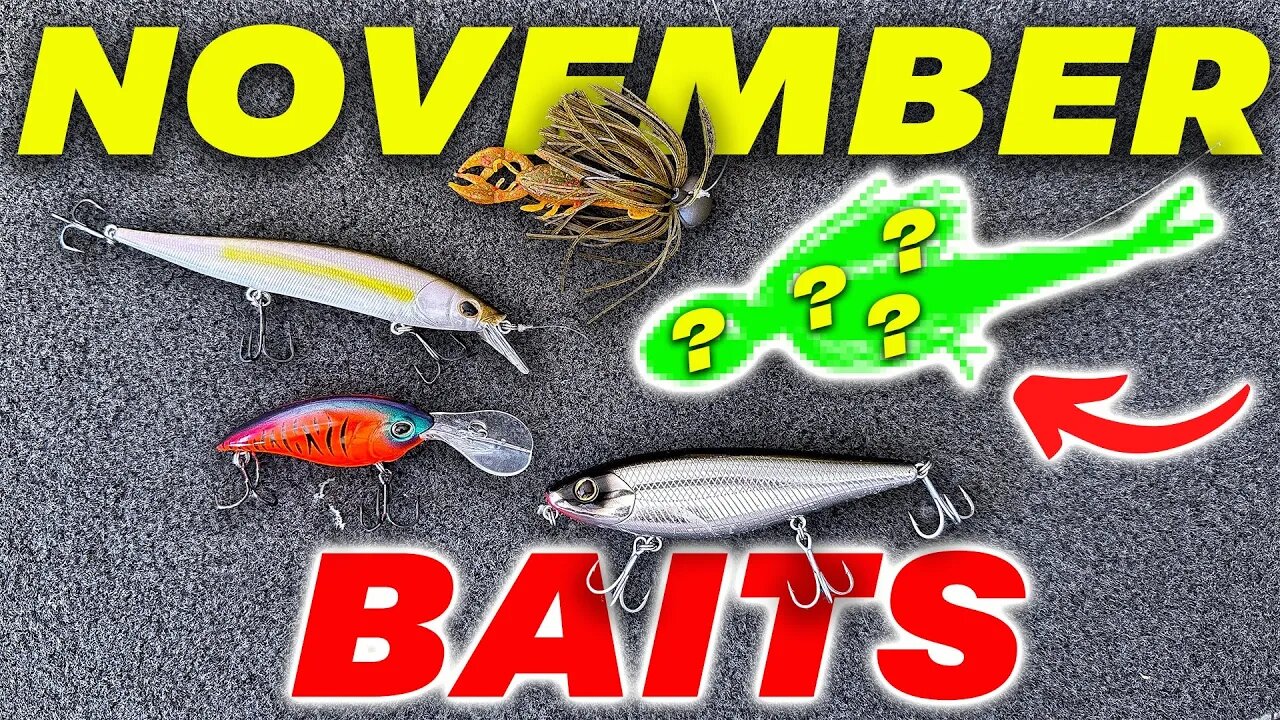 WATCH This BEFORE You Go Fishing In November (1 of Them is SNEAKY!)