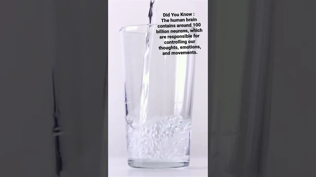 today’s interesting fact