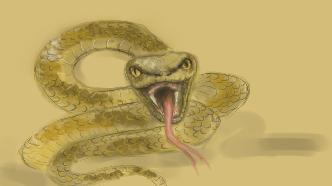 timelapse beginner using Krita (happy 4th July Americans)