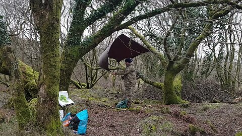 taking off the guylines. DD hammocks 3x3 tarp. Reddacleave campsite. Dartmoor 26th March 2023