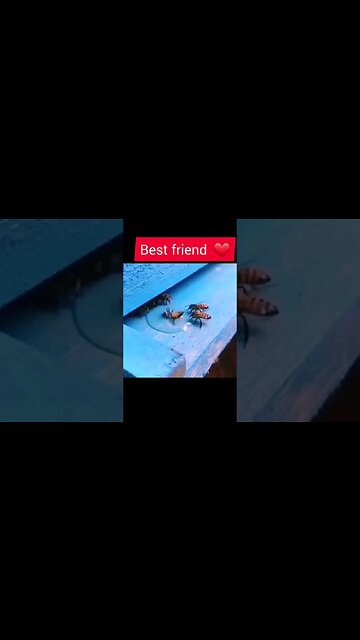 Best friend #youtube