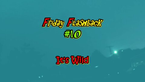 Friday Flashback #10