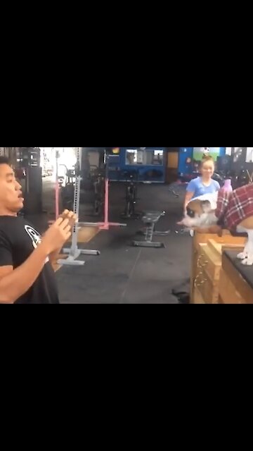 Trusting Puppy Amazingly Leaps Into Owner's Arms