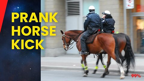 College Girl Smacks Police Horse, Instantly Regrets It