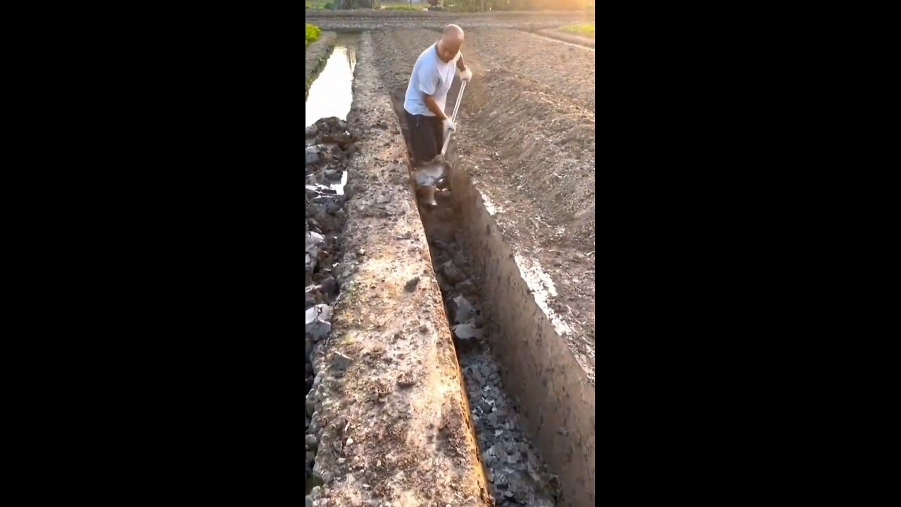 Digging Ditches For lrrigation Pati-14 ⛏️ #satisfying #short #viral #sanatandharma #nature #fruit