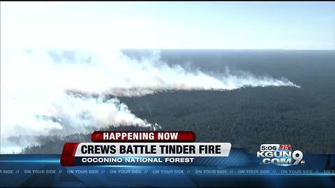 Tinder fire caused by illegal abandoned campfire