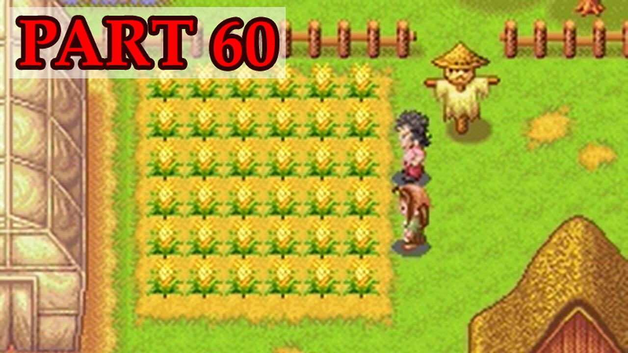 Let's Play - Harvest Moon DS Cute part 60