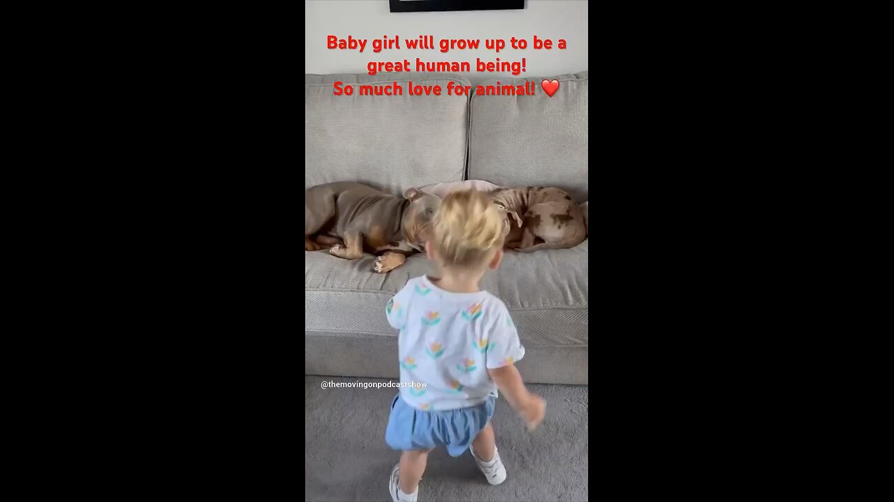 Cute little girl loves her two new puppies