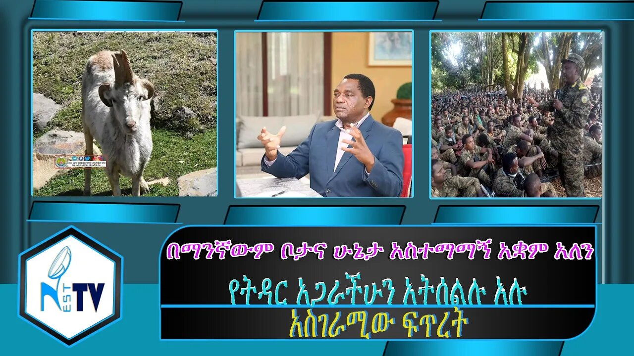 ETHIOPIA:NESTTV: በማንኛውም ቦታና ሁኔታ አስተማማኝ አቋም አለን / የትዳር አጋራችሁን አትሰልሉ አሉ / አስገራሚው ፍጥረት....