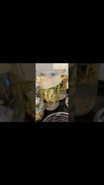 Homemade Apple Cider Vinegar #frugal #homestead #shorts #homesteading