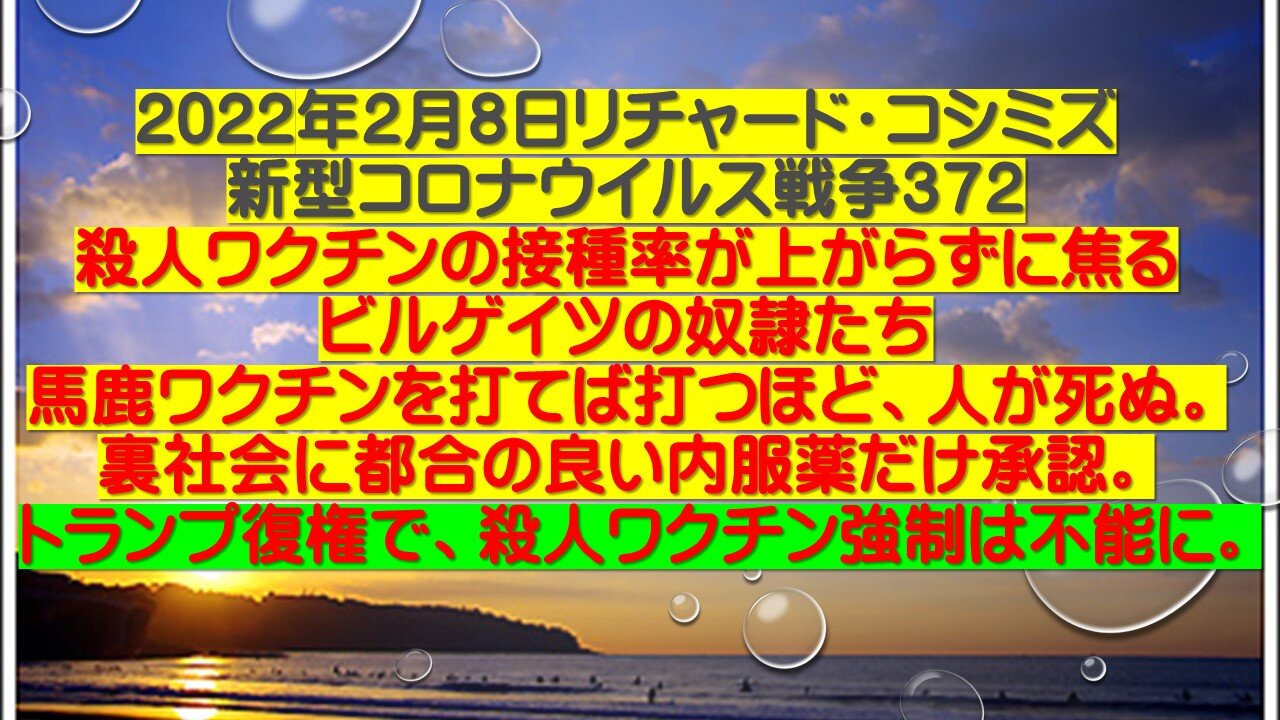 2022年２月８日リチャード・コシミズ 新型コロナウイルス戦争３７２