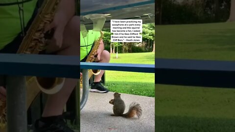 I have been practising Video By jazzvideo #Shorts