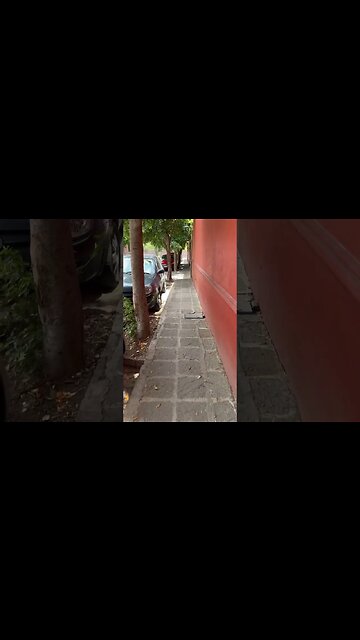 How to Recycle Plastic in San Miguel de Allende #recycle