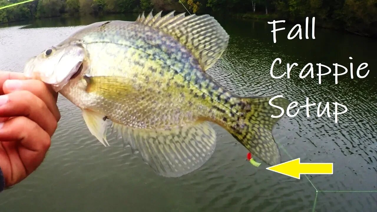 Catch more Fall Crappie with this rig (Triple Crappie Jigs) EP.18 of 30 Day Challenge