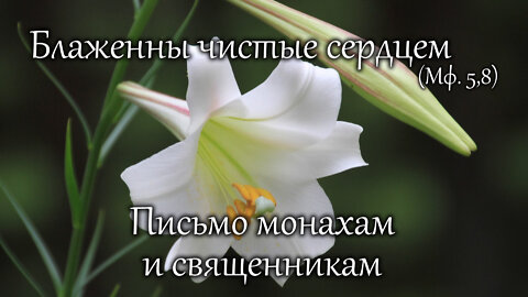 Блаженны чистые сердцем (Мф. 5,8). Письмо монахам и священникам.