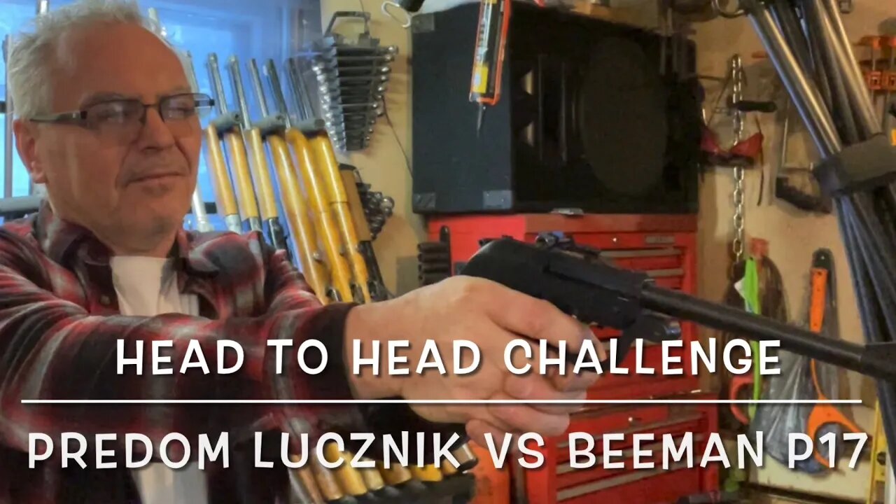 Head to head challenge Beeman P17 vs Predom Lucznik 177 target pistols