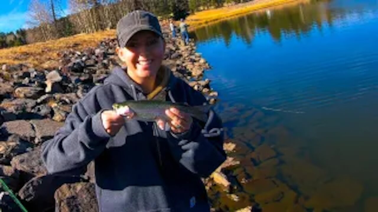 Targeting Big Brown Trout - Greer AZ