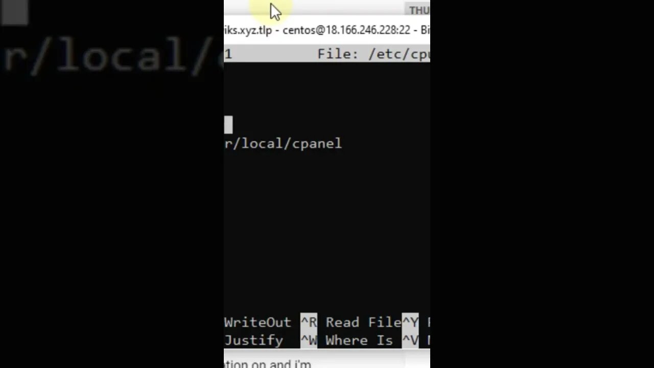 Disable Autoupdate for cPanel Servers