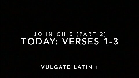 John Ch 5 Pt 2 Verses 1–3 (Vulgate 1)