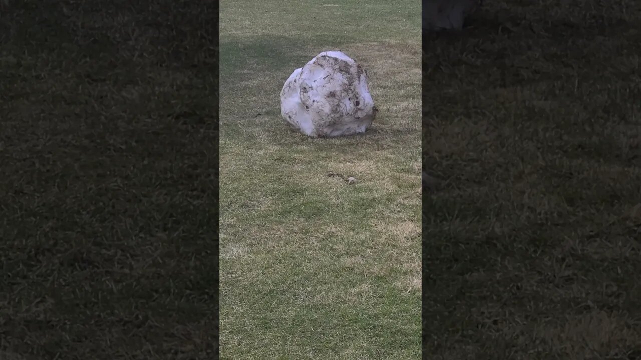 giant ball of ice and rock #shorts