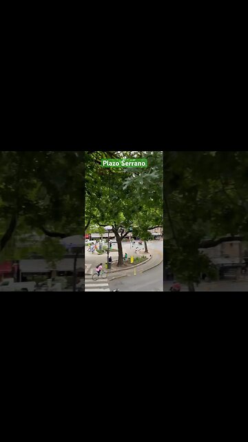 Plazo Serrano In Buenos Aires #shorts