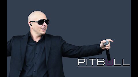 Pitbull (rapper): "Communism coming to America"