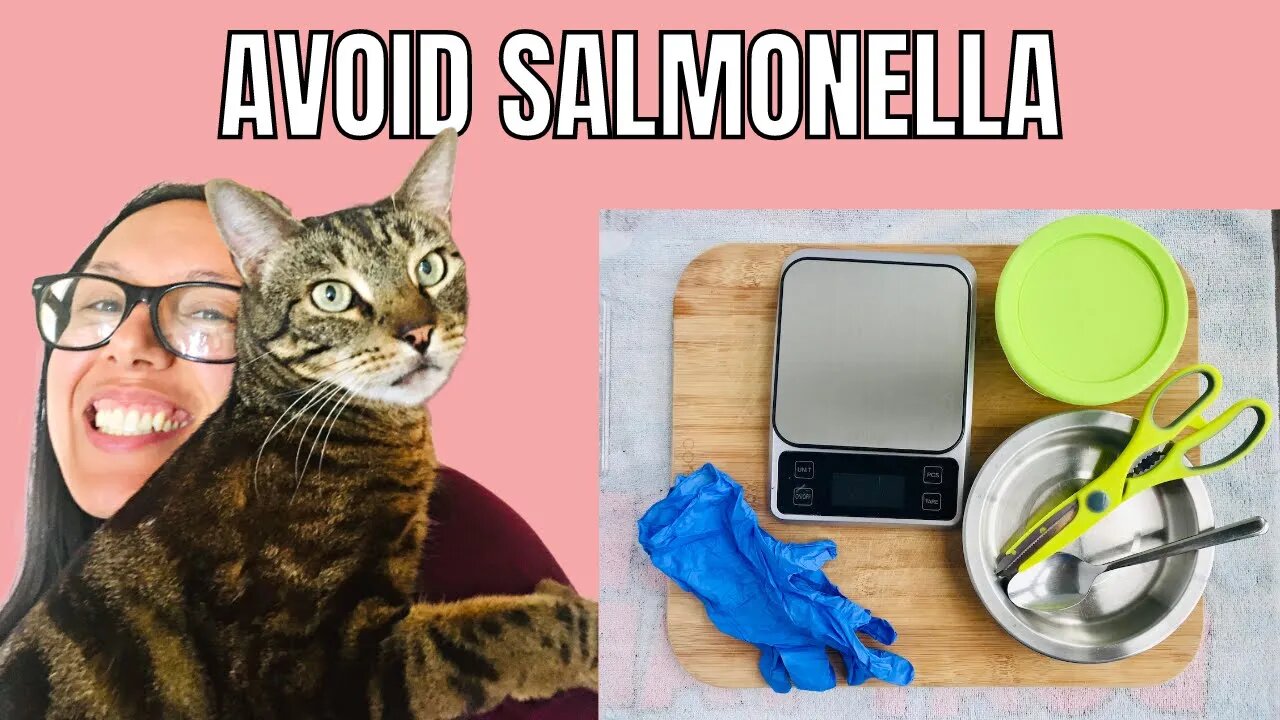 How to feed raw without getting salmonella