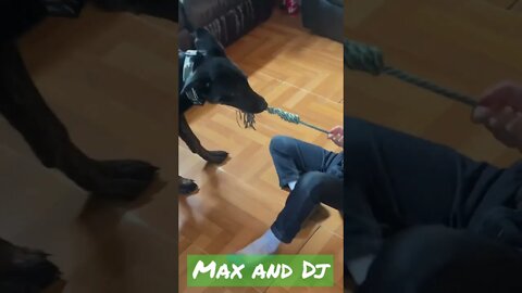 Max vs Dj tug-a-war slide