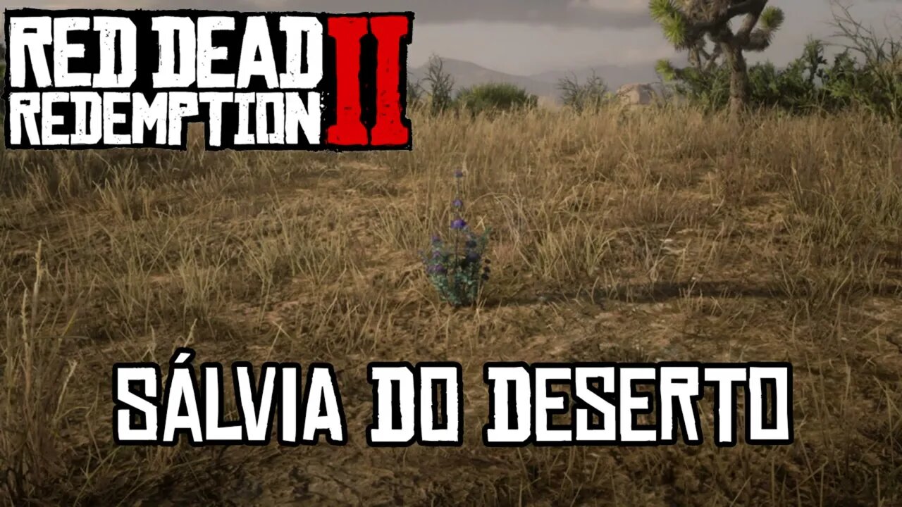 Localização Sálvia do deserto RDR 2