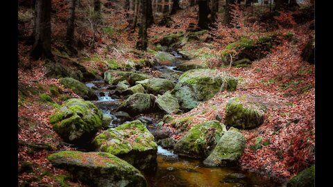 10 minutes of Relaxation ( Relaxing water sounds that help you sleep )