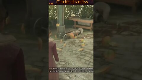 Chomping Cabbage Are Dangerous