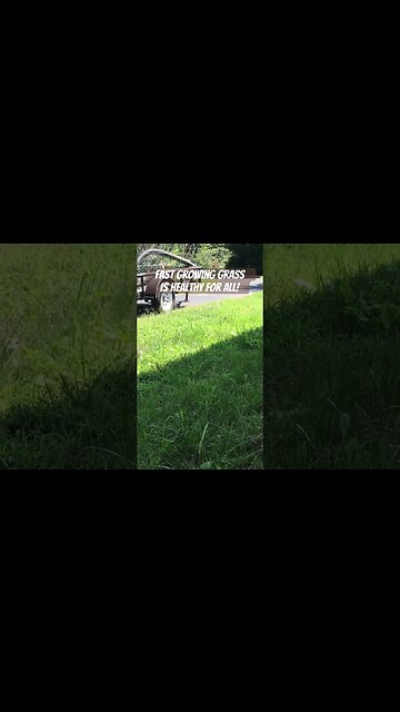 Is this grass healthy? #grasslands