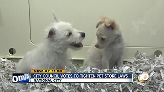 National City takes step to place more restrictions on pet stores