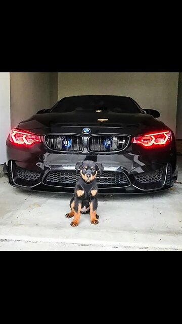 One of the best looking BMW's 💯