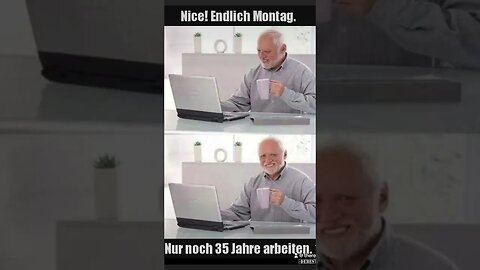 Endlich :p #Vtuber #twitch #stream #bird #birb #baka #games #streamer #meme #memes #montag #monday