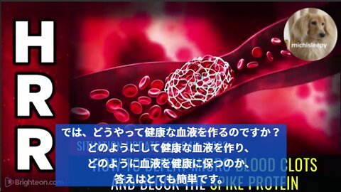 状況更新、2022年2月4日-ワクチン後遺症対策、微小血栓を破壊し、スパイクタンパク質をブロックする方法