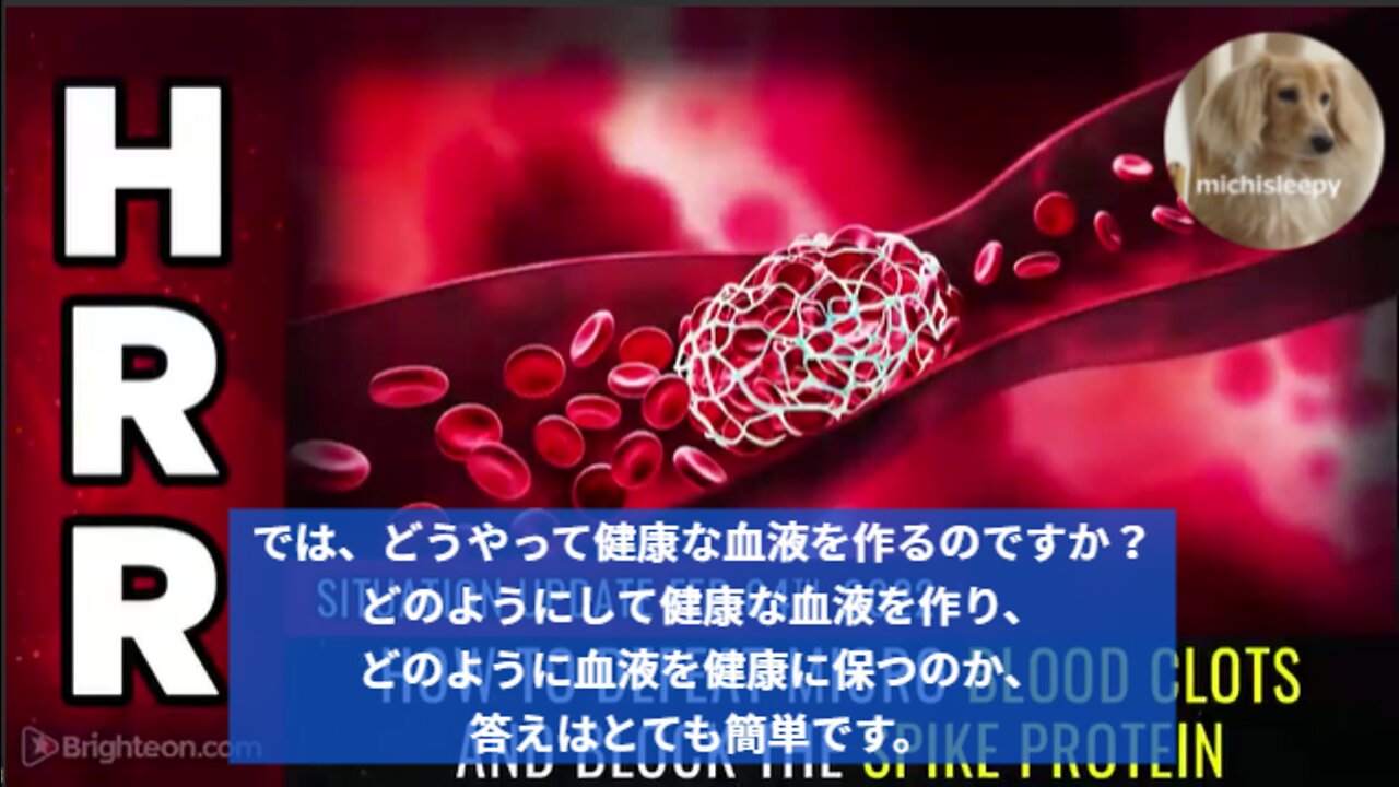 状況更新、2022年2月4日-ワクチン後遺症対策、微小血栓を破壊し、スパイクタンパク質をブロックする方法