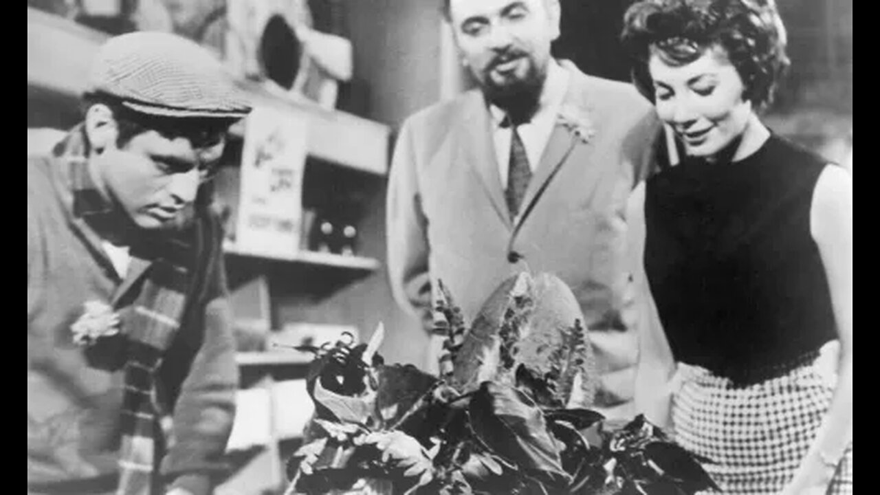 The Little Shop of Horrors Full Movie (1960)